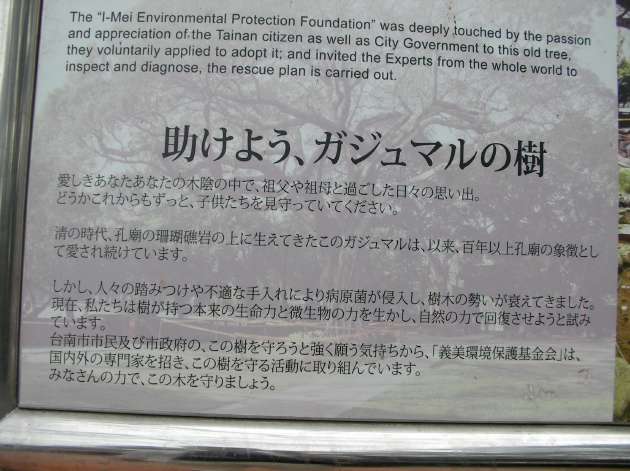 「助けよう、ガジュマルの樹」と書かれた案内